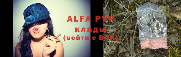 винт Абаза