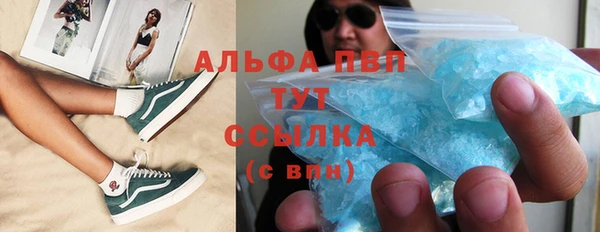винт Абаза