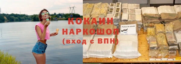хмурый Алексин