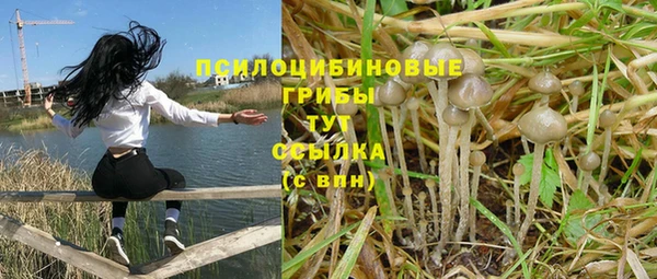 хмурый Алексин