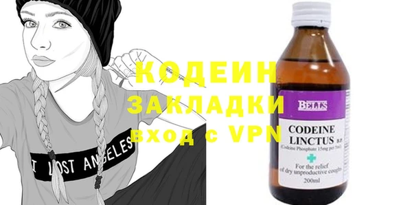хмурый Алексин