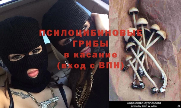 прущая мука Алексеевка