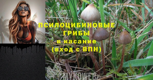 винт Абаза