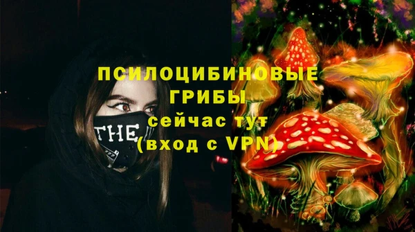 винт Абаза