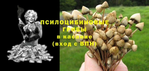хмурый Алексин