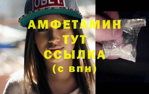 винт Абаза