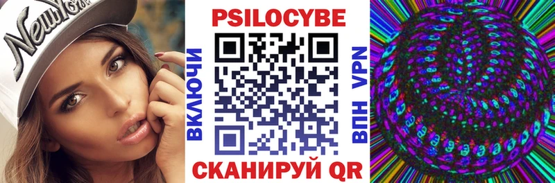 купить наркотик  Туринск  кракен ТОР  Галлюциногенные грибы MAGIC MUSHROOMS 